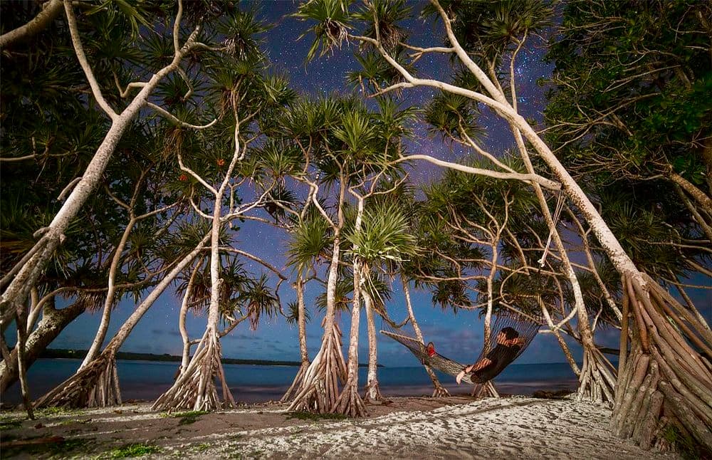 Person relaxing in a hammock under pandanus trees beneath a starry sky at Blue Pango Guesthouse