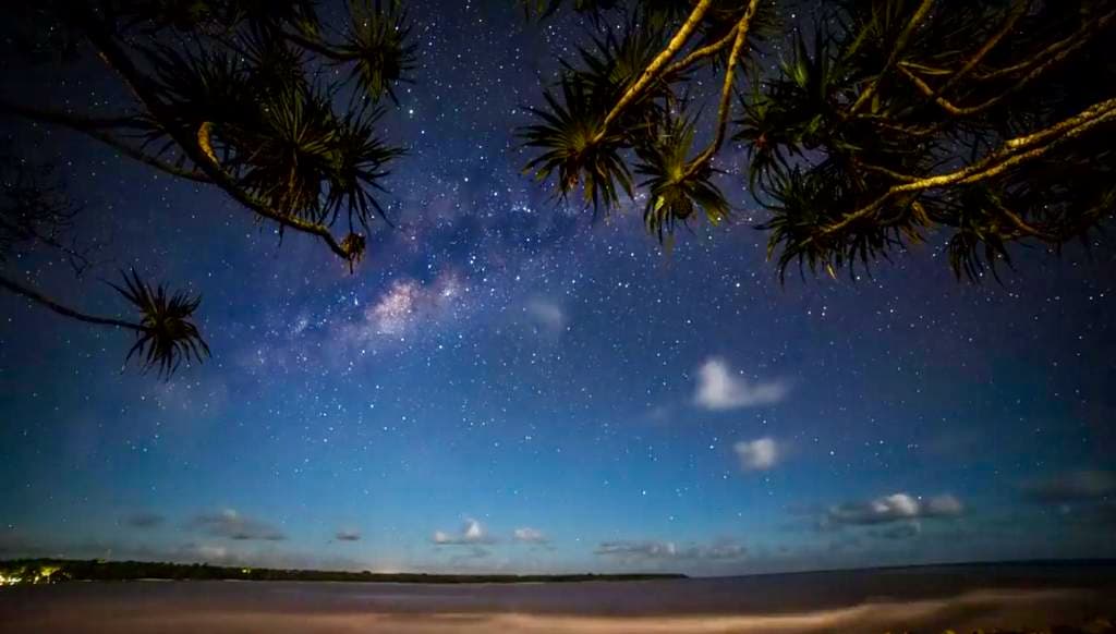 The Milky Way arching over Havannah Harbour through pandanus trees at Blue Pango Guesthouse, Vanuatu