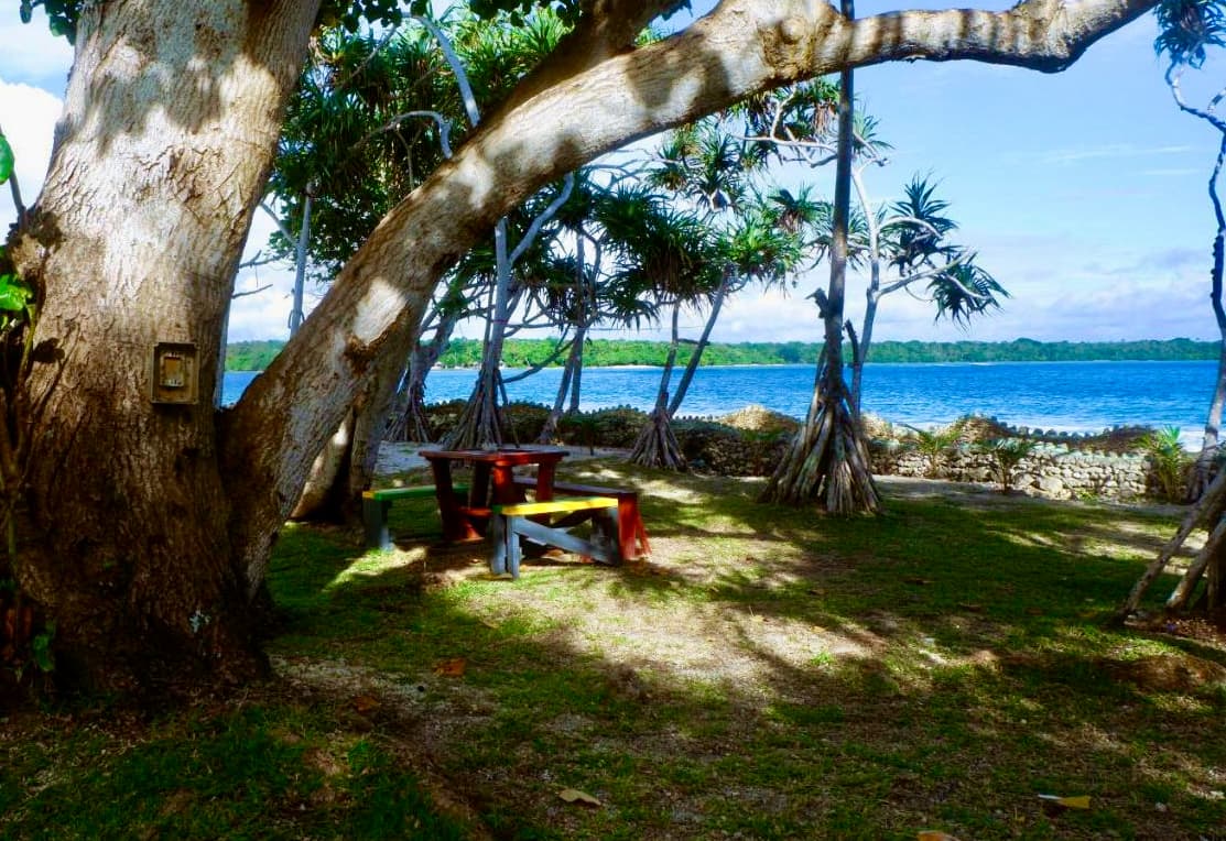 Shaded seating under tropical trees overlooking the bay