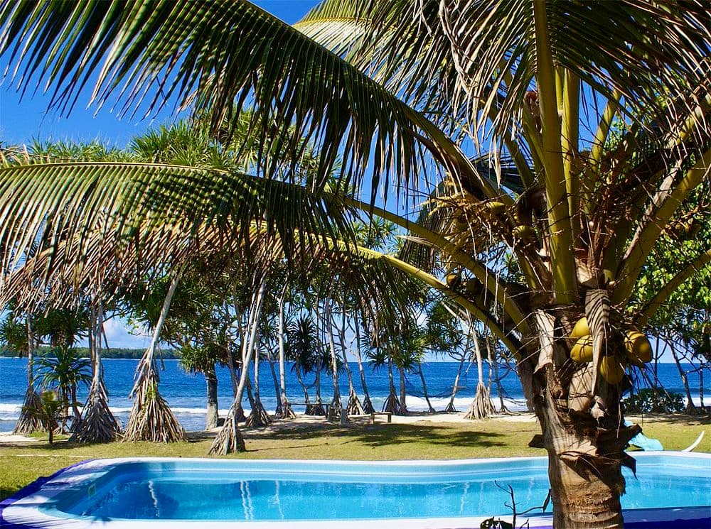 Swimming pool with coconut palms and ocean view at Blue Pango Guesthouse